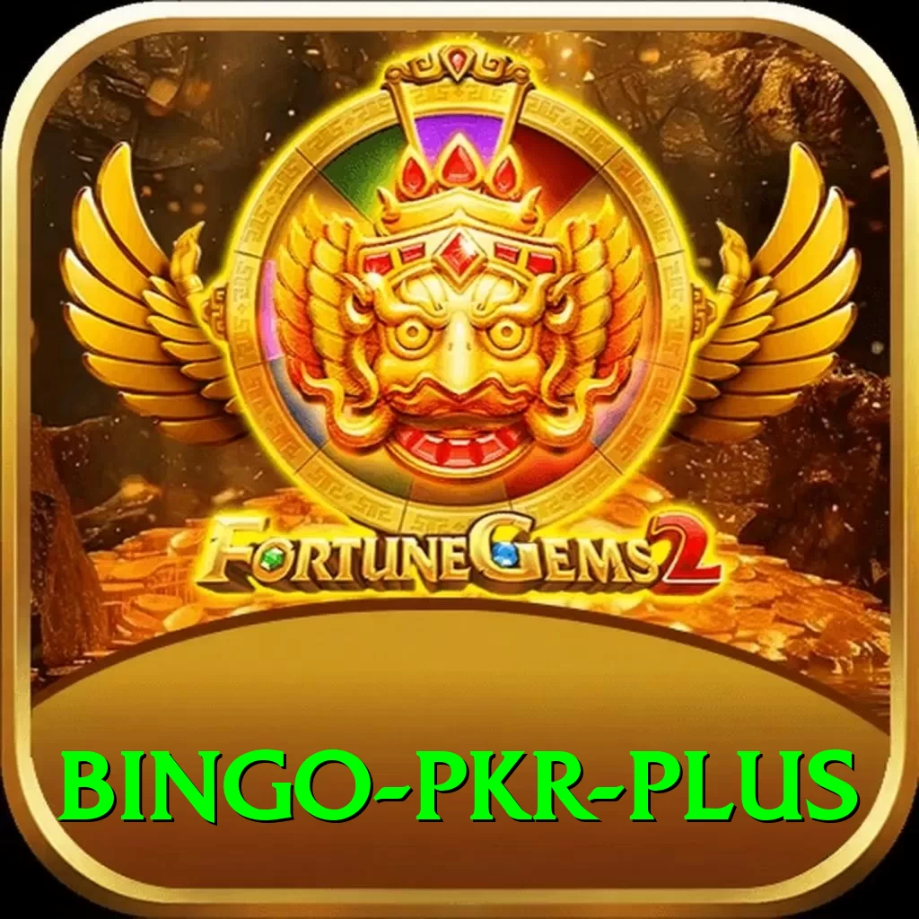 Bingo PKR Pro Max v3.8.7 - 2