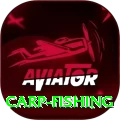 carp fishing Bonus Super v1.4.6