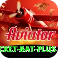 cricket bat Pakistan Master v1.3.9
