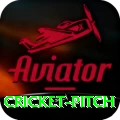 cricket pitch Money Royal v2.6.9