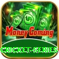 cricket series Mega New