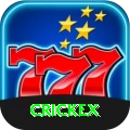 crickex Official v4.0.6