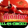 fastest ball in cricket Slots Royal v5.9.8