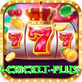 fastest ball in cricket Gold New