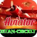 india pakistan cricket Elite Slots