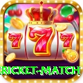 international cricket match Cash VIP