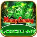 live cricket app - Casino Deluxe