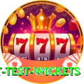 most test wickets Money Max v3.6.7