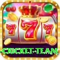new zealand cricket team Royal Gaming App