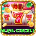 online cricket Games Turbo