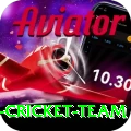 pakistan women cricket team - Premium Earning App