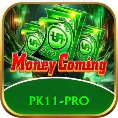 pk11 App Premium v4.8.8 - 2