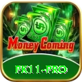 pk11 App Premium v4.8.8