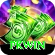 PKWin Pro Edition v1.1.3