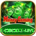 smart cricket live Mobile Super