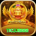 tiger888 King Rewards