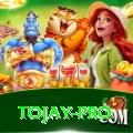 tojay Game Supreme v4.4.1