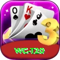 wc t20 APK Elite v1.0.9