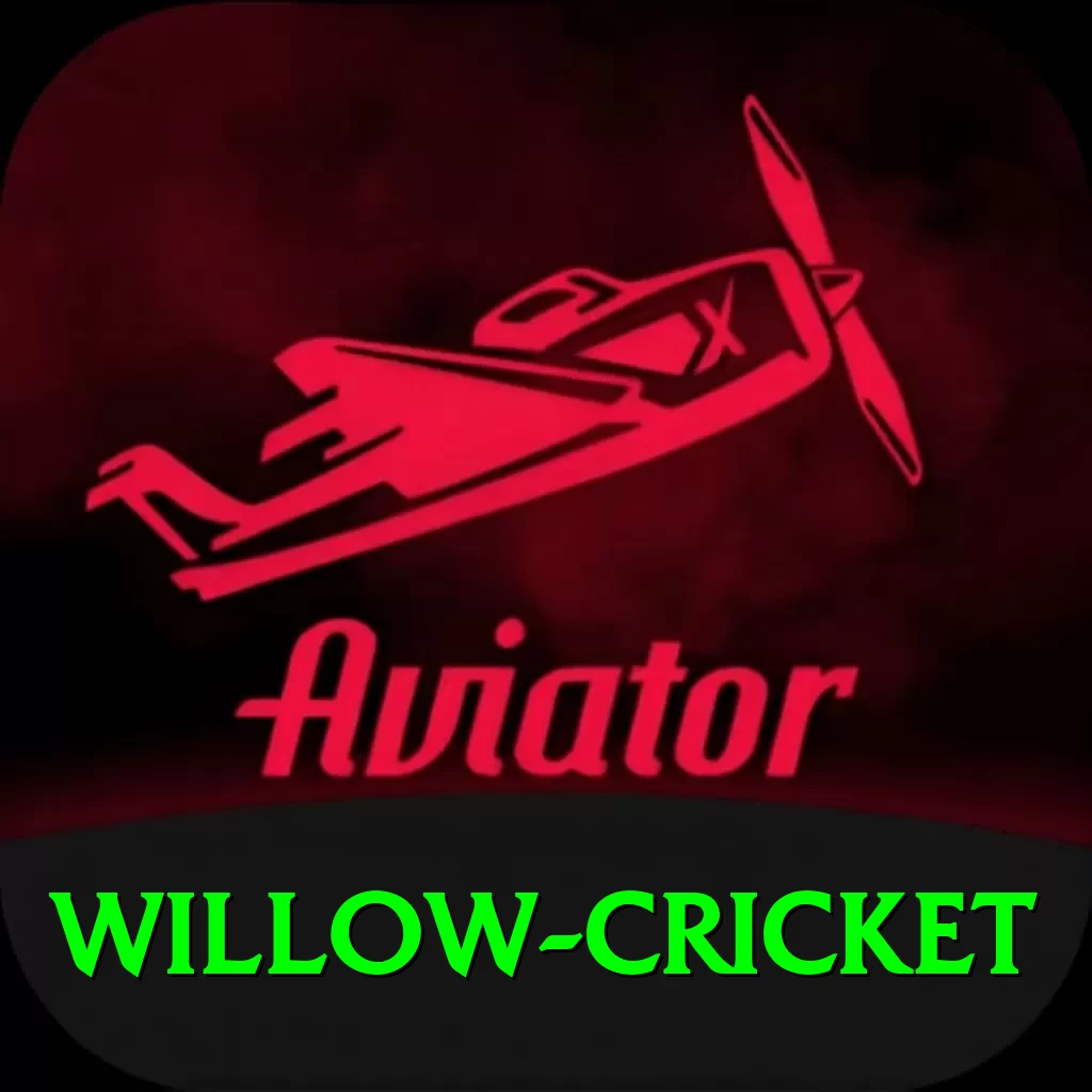willow cricket Pro New - 2