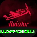 willow cricket Pro New